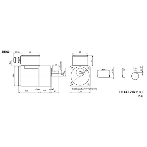 Elektrimootor 60W 1350rpm 5IK60GN-CFPT 230V