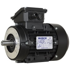 Электродвигатель 1,1kW 2900rpm T3A80B-2 230/400V B14, термоконтакт