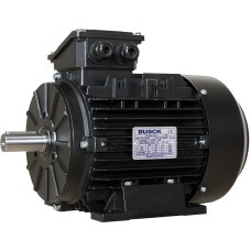 Электродвигатель 4,0kW 2920rpm T3A112M-2 400/690V B3, термоконтакт