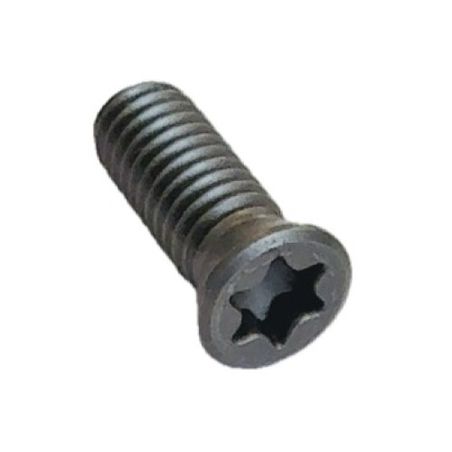 Lukustuskruvi S-40115 Torx15 Pafana