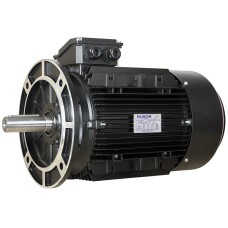 Elektrimootor 22kW 1460rpm T3CR180L-4 400/690V B5, PTC