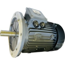 Электродвигатель 4,0kW 960rpm MS132M1-6 400/690V B5, Techtop