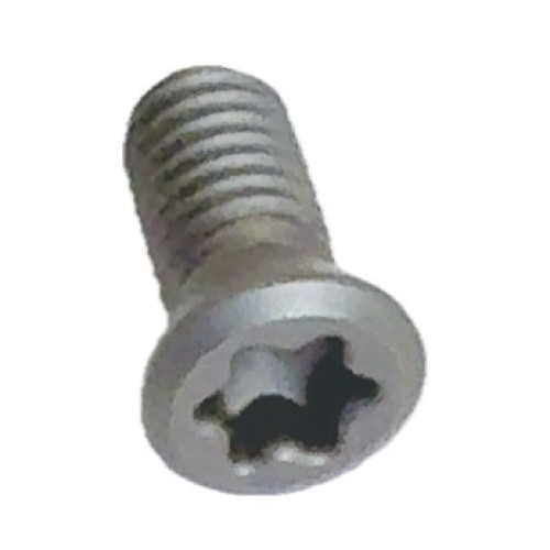 Lukustuskruvi S-3509 Torx15 Pafana